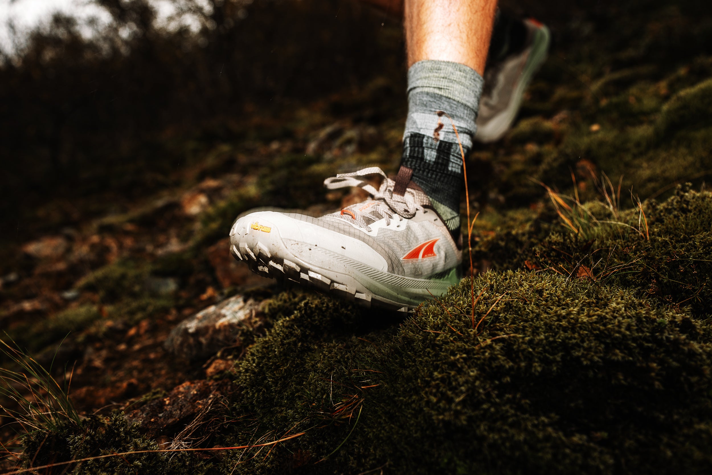 アルトラ　ローンピーク　フィールド写真